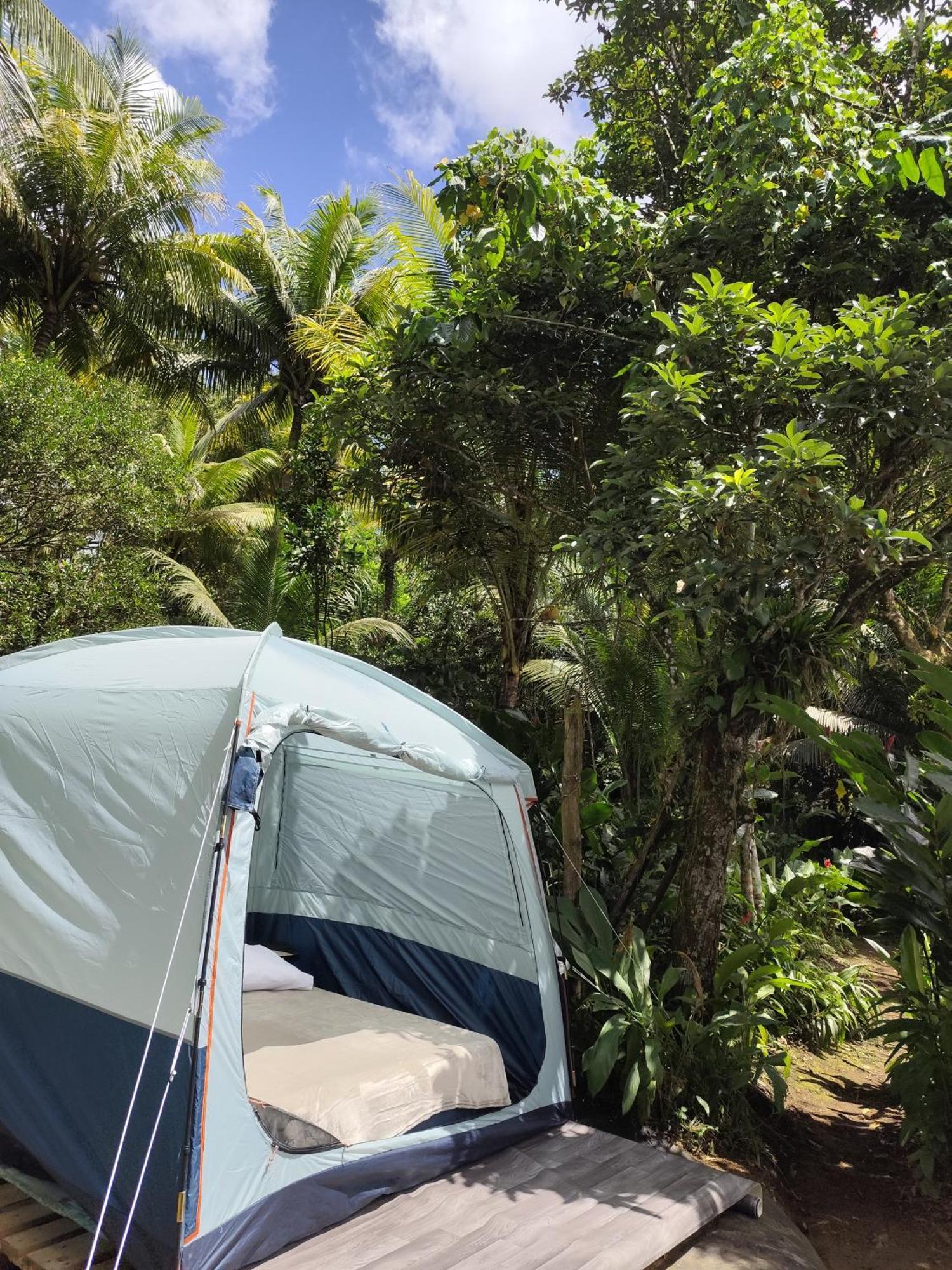 Camping A La Ferme Gros-Morne ภายนอก รูปภาพ